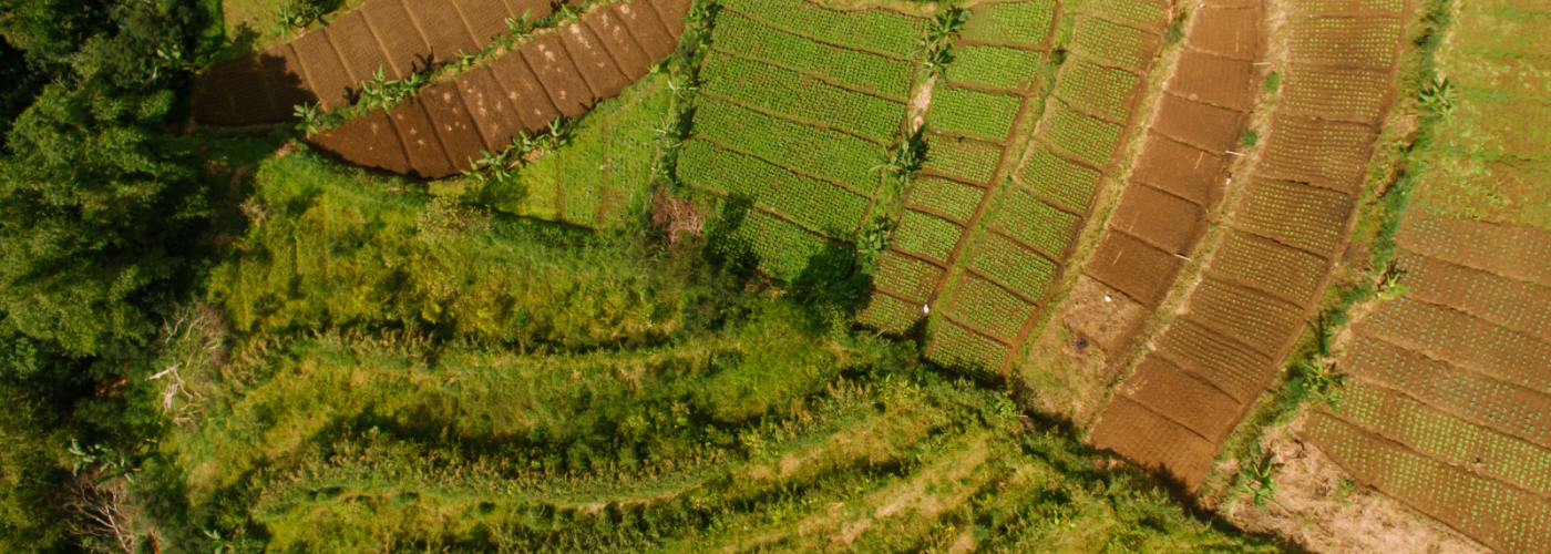Aerial view of diverse farm