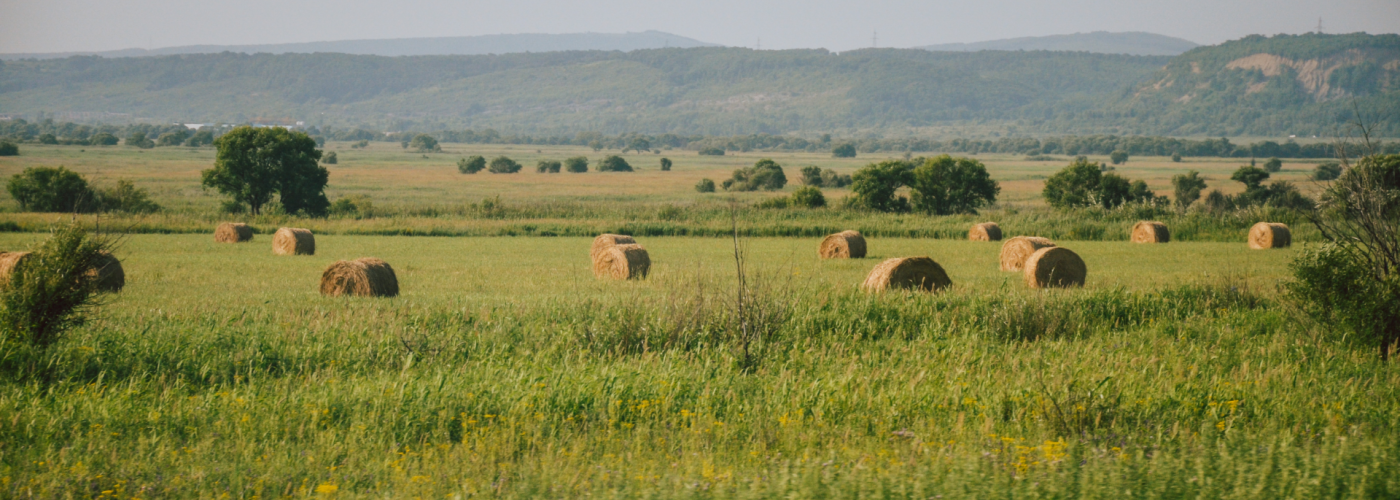 Europe farm field