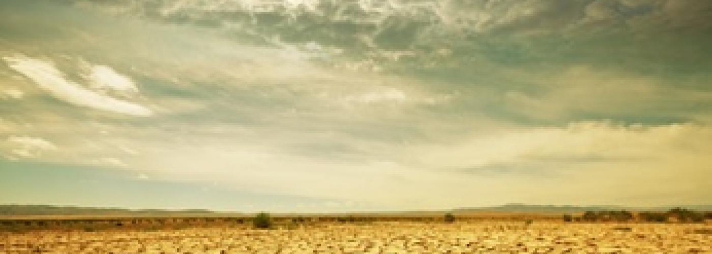 Agriculture and Climate—The Critical Connection