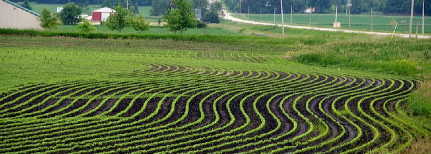 Farm Bill free fall