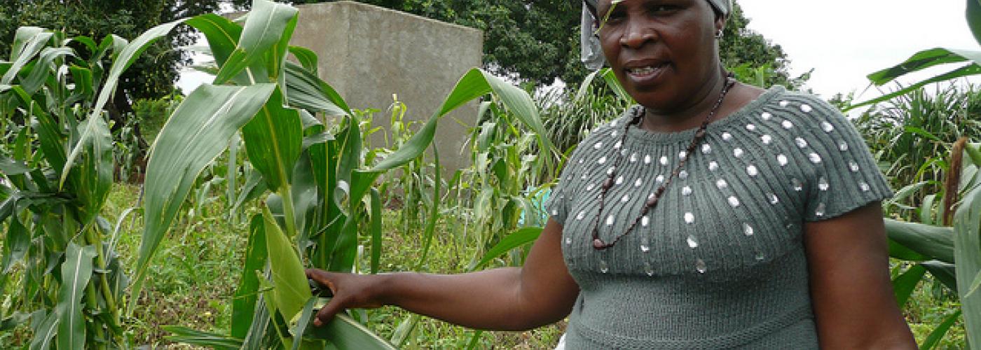 Defining our terms: Agroecology and sustainable agriculture in the context of Rio+20