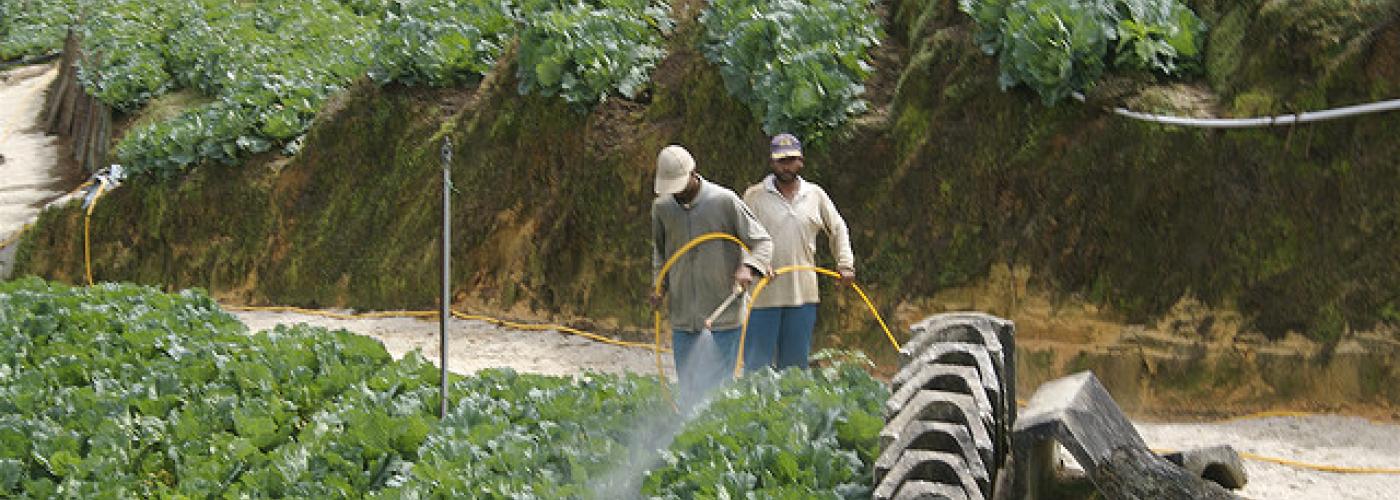 Racing Ahead: U.S. Agri-Nanotechnology in the Absence of Regulation