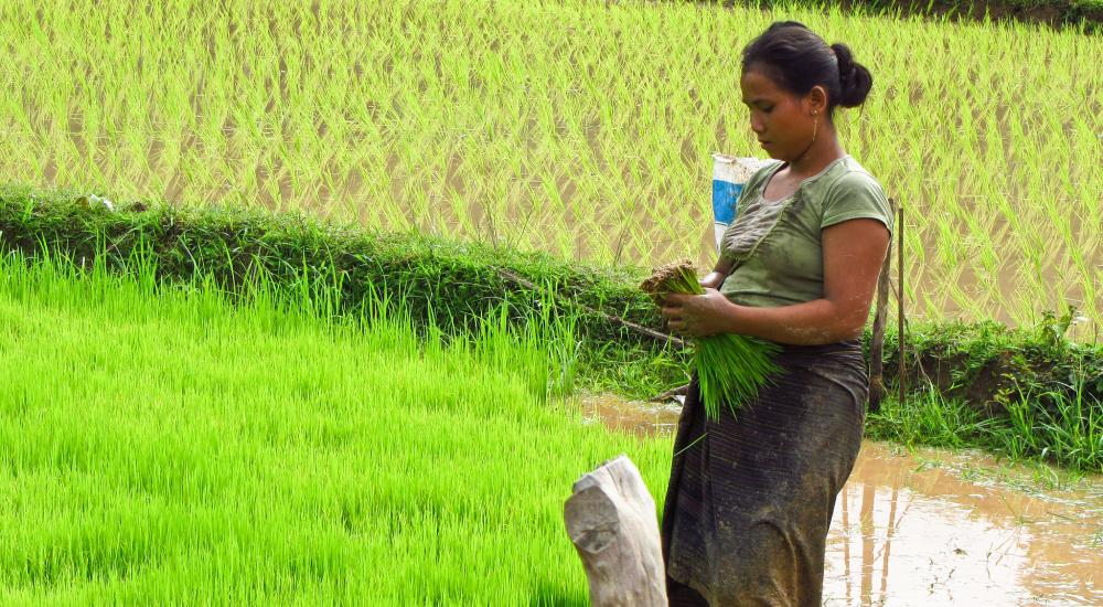 Contribution To Asia Regional Meeting On Agroecology Iatp - 