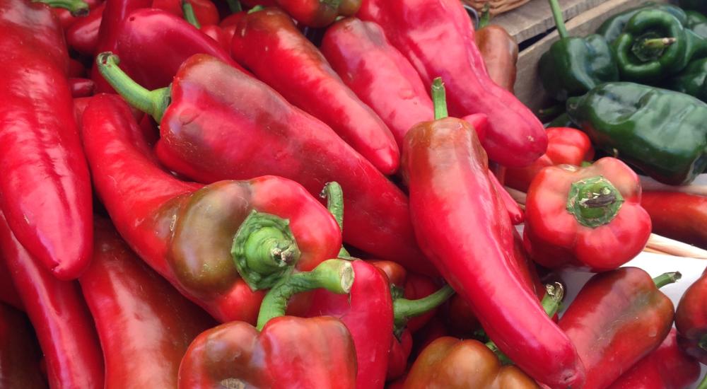 The Next Wave for Good Food