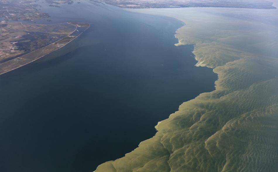 Lake Erie Algae Mega Bloom