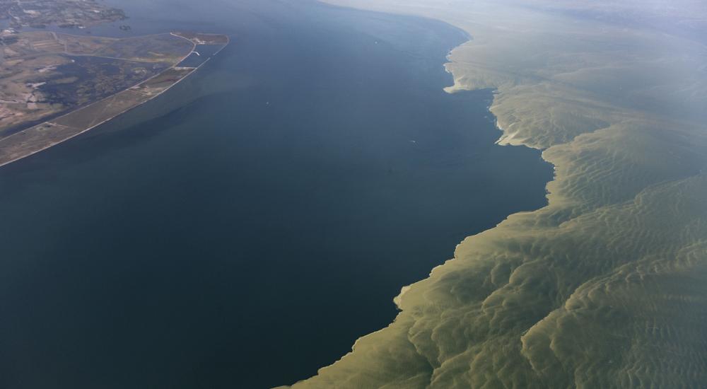 Lake Erie Algae Mega Bloom