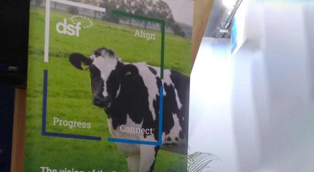 Dairy Sustainability Framework