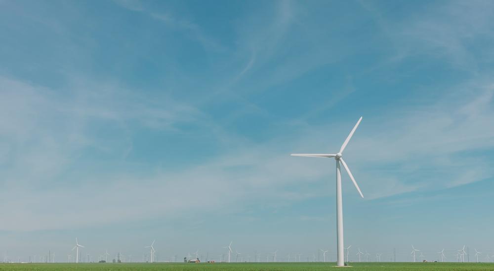 Roscoe Wind Project