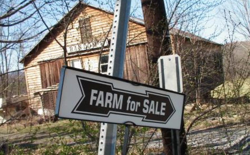 farm for sale