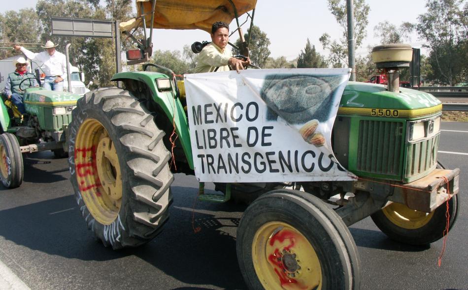 Tractor in Mexico