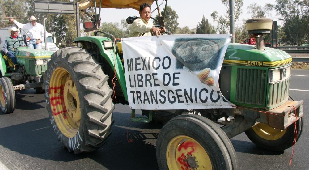 Tractor in Mexico