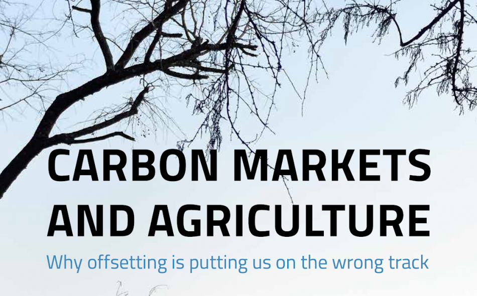carbon markets cover 3