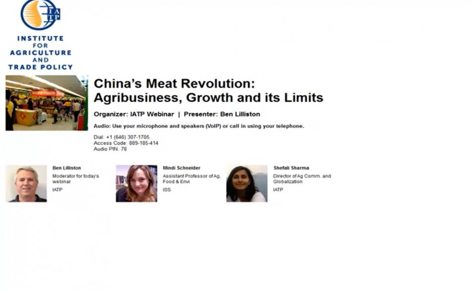 China's Meat Revolution: Agribusiness, Growth and Its Limits