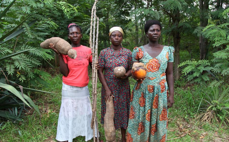 Women from the Abrono Organic Farming Project showcase their seeds
