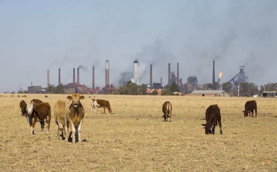World's largest meat company, JBS, increases emissions by 51% in five years  despite 2040 net zero climate target, continues to greenwash its huge  climate footprint | IATP