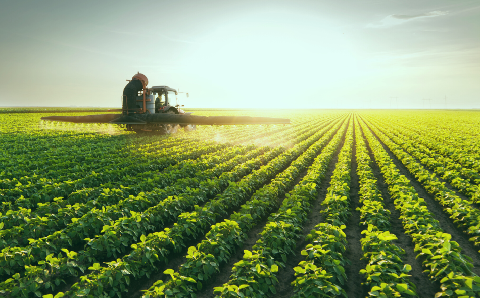 Tractor spraying a monocrop soybean field