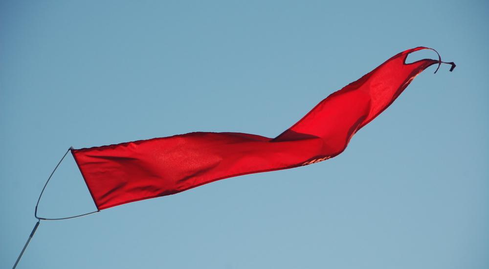 “Full of red flags” — Real Zero Europe campaigners slam EU carbon ...
