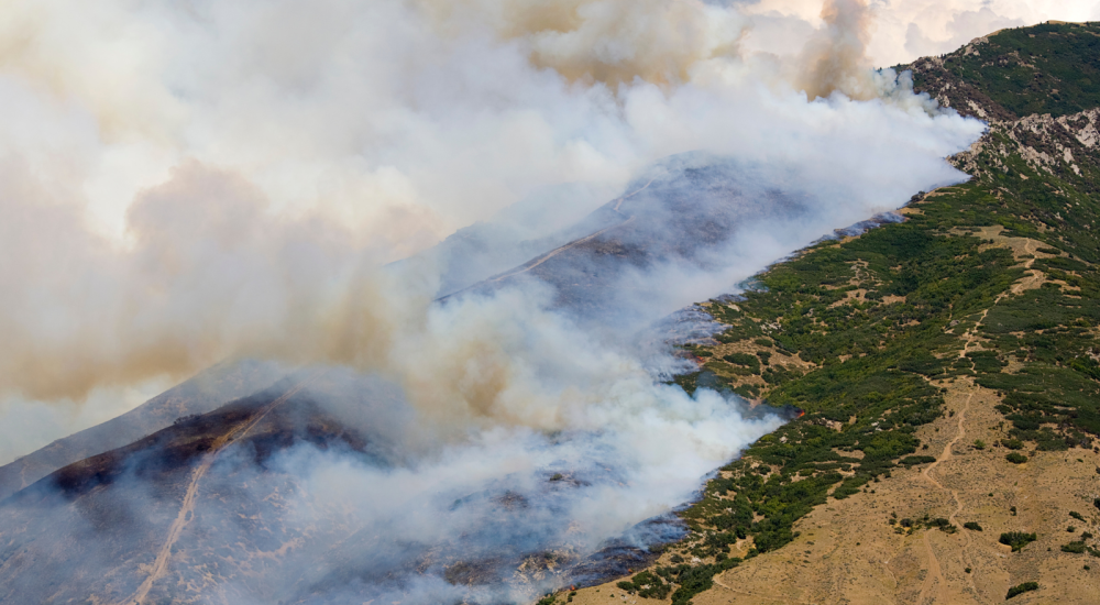 wildfire