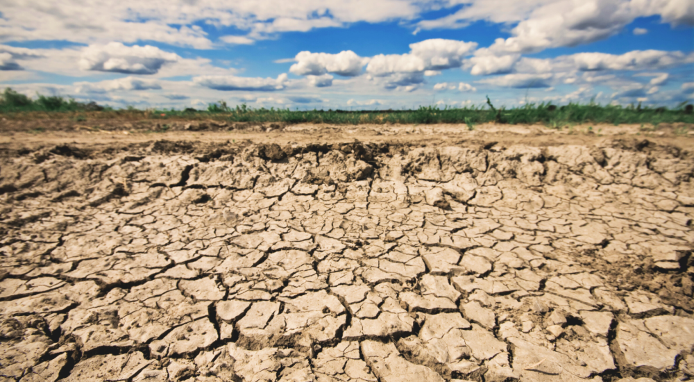 Dry land after drought and flood