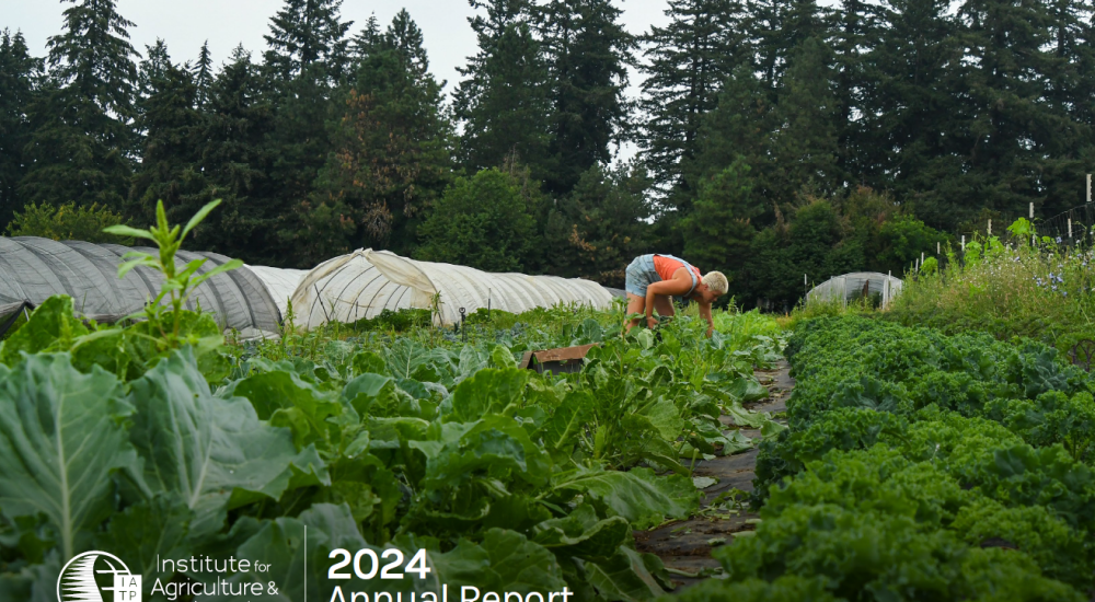 2024 annual report cover