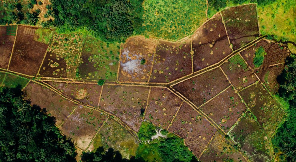 Aerial view of farmland