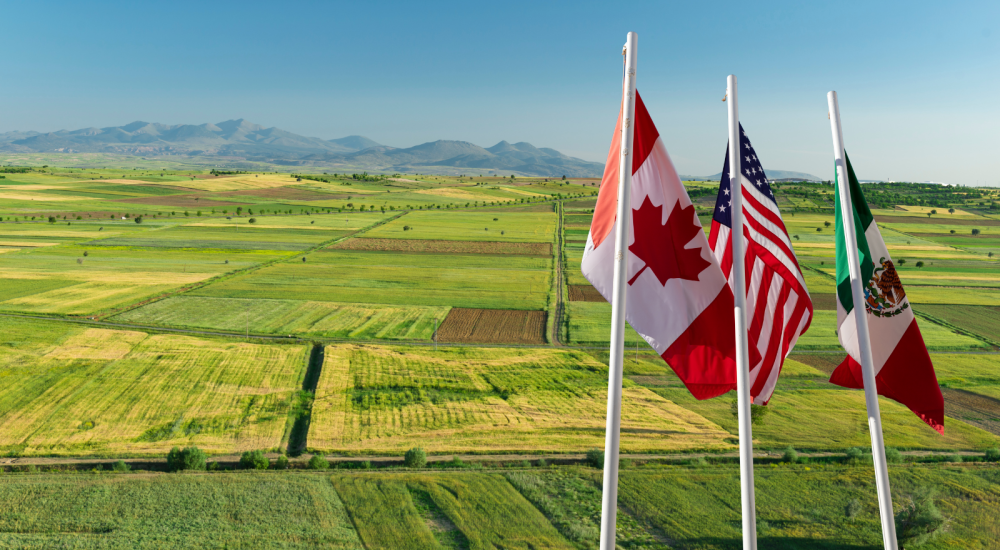 Canada, U.S. and Mexico flags over countryside landscape