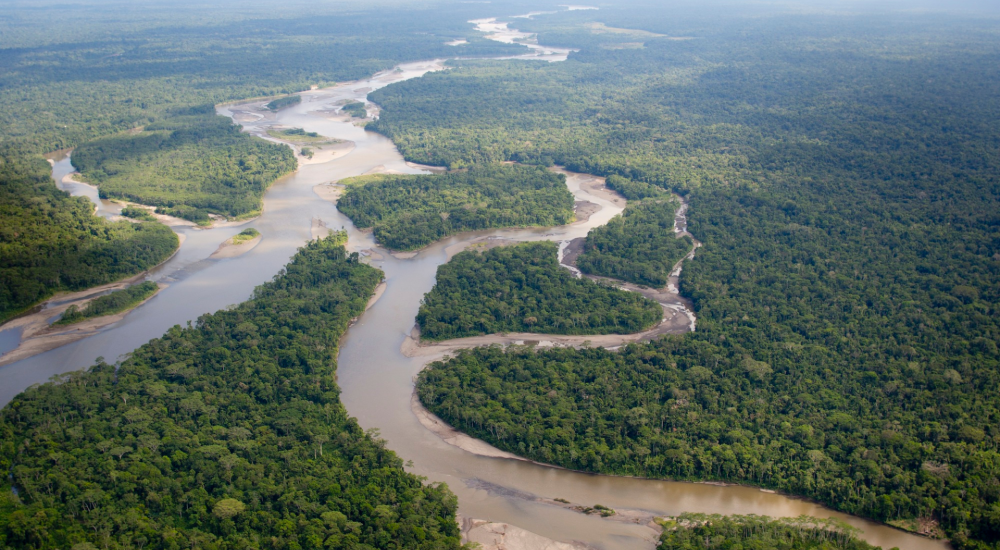 Amazon rainforest