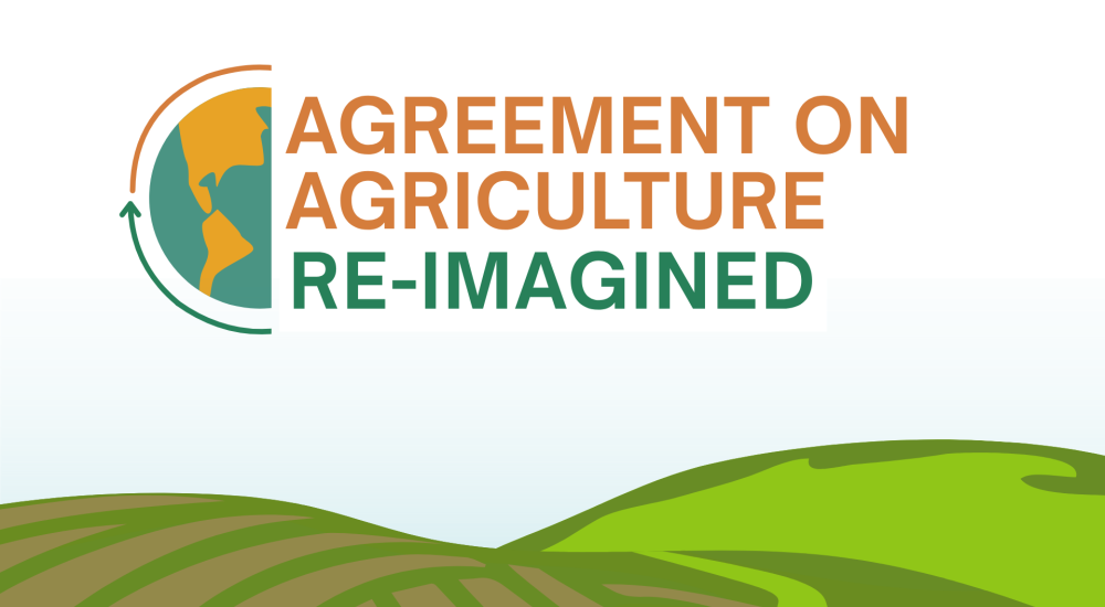 Agreement on Agriculture Reimagined
