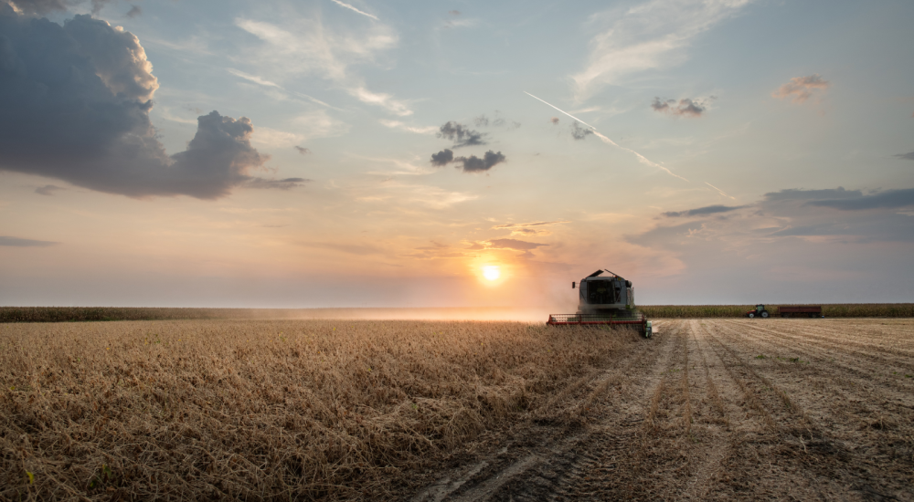 Tractor in muddy soy field