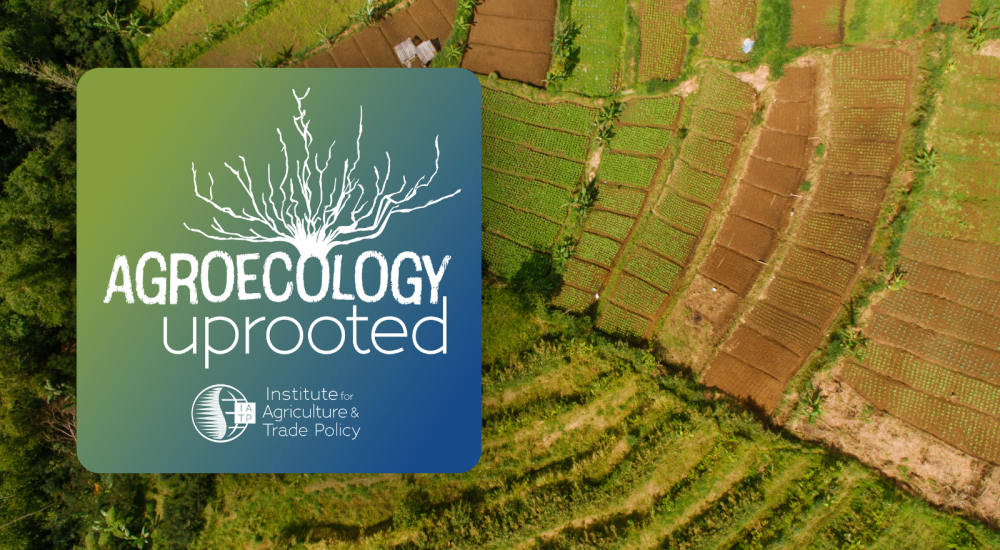 Aerial view of diverse farm with AE Uprooted logo