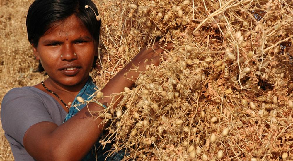 Women and agriculture: Discuss