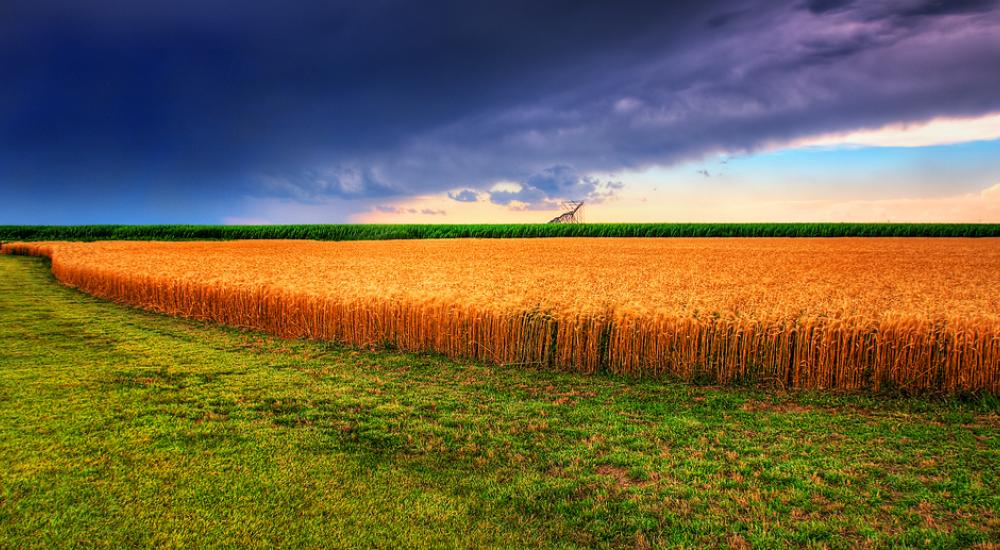 Looking to the states on climate adaptation 