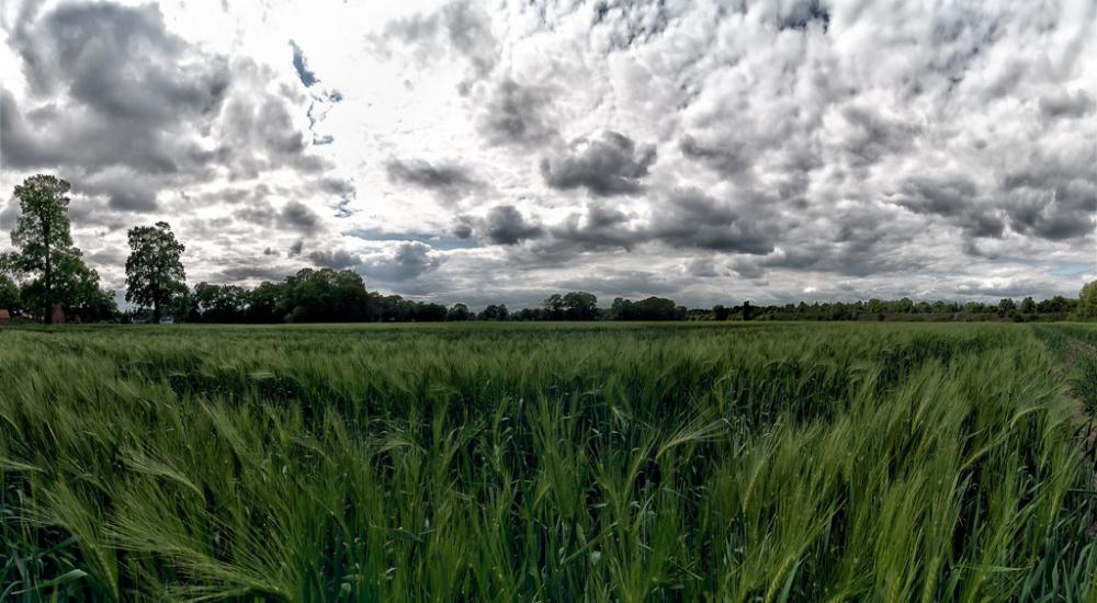 When weather becomes the "single biggest factor"
