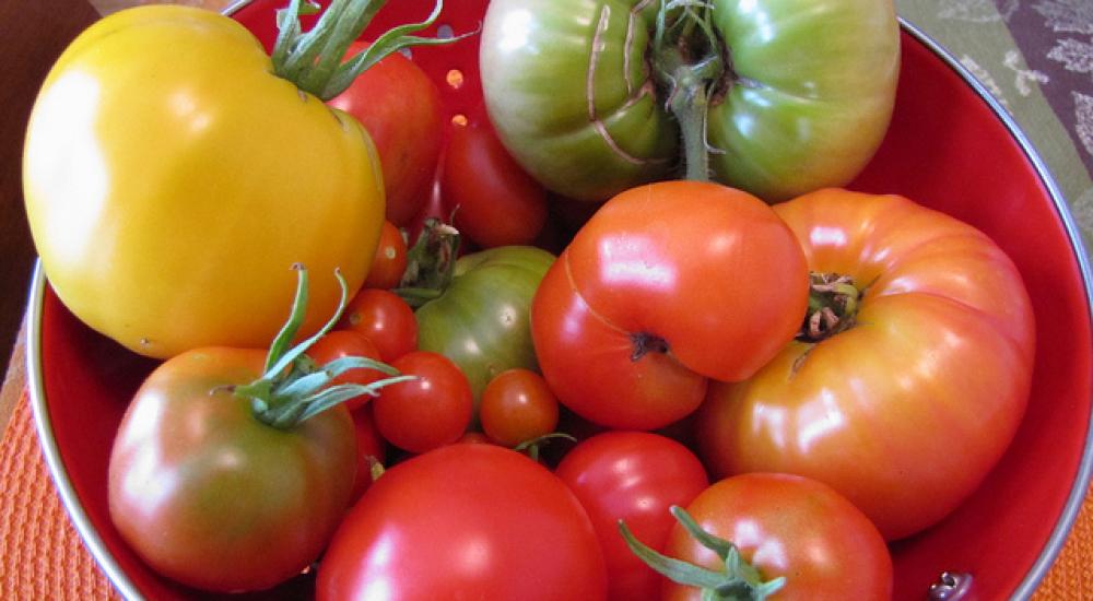 Students to get a big taste of Minnesota during Farm to School Month