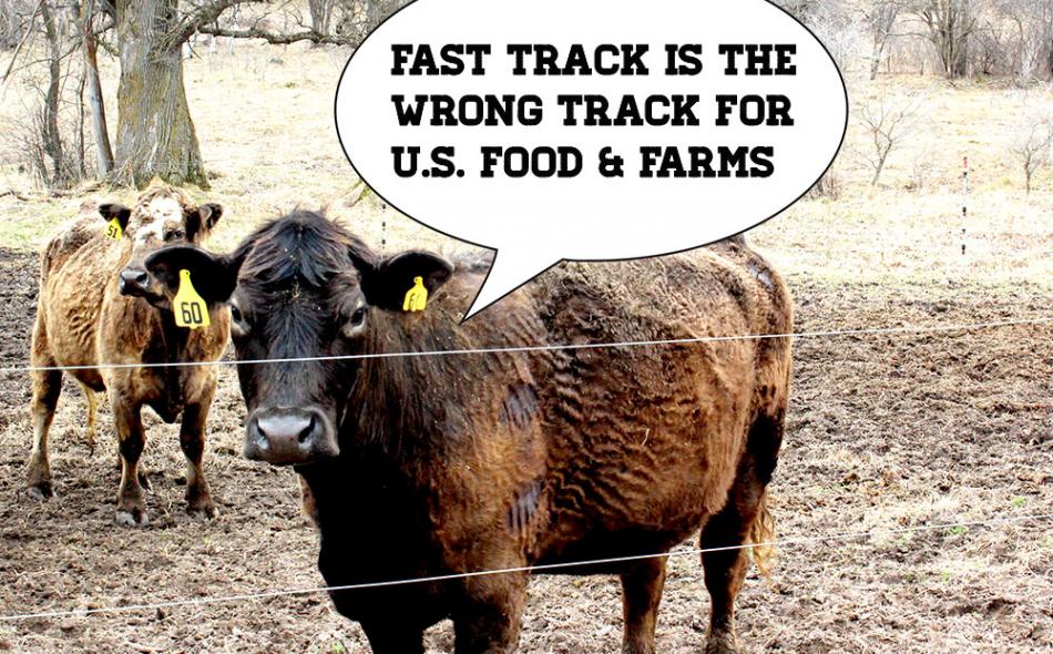 Fast Track a Bad Deal for Farmers and Our Food System, 110+ groups say