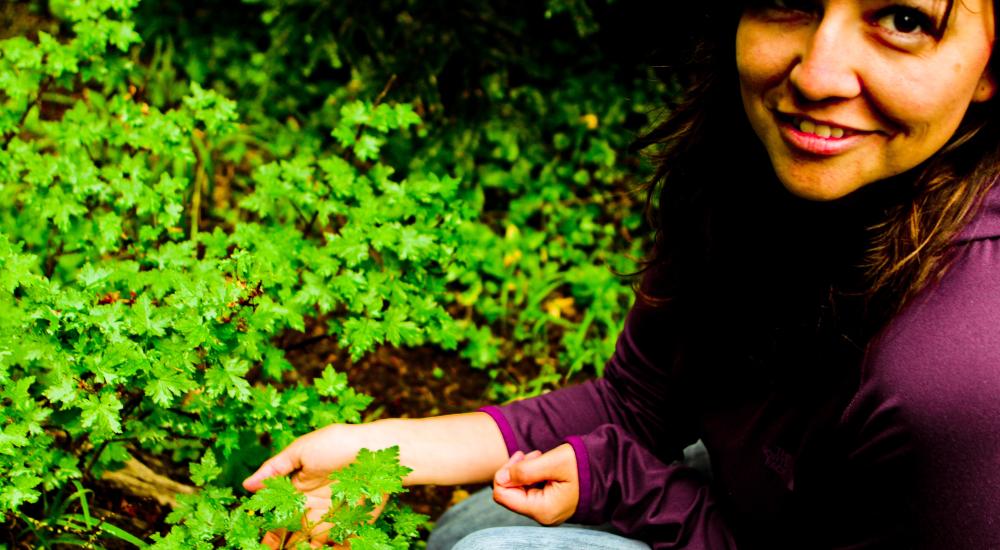 Traditional Storytelling of Place-Based Foods with Valerie Segrest