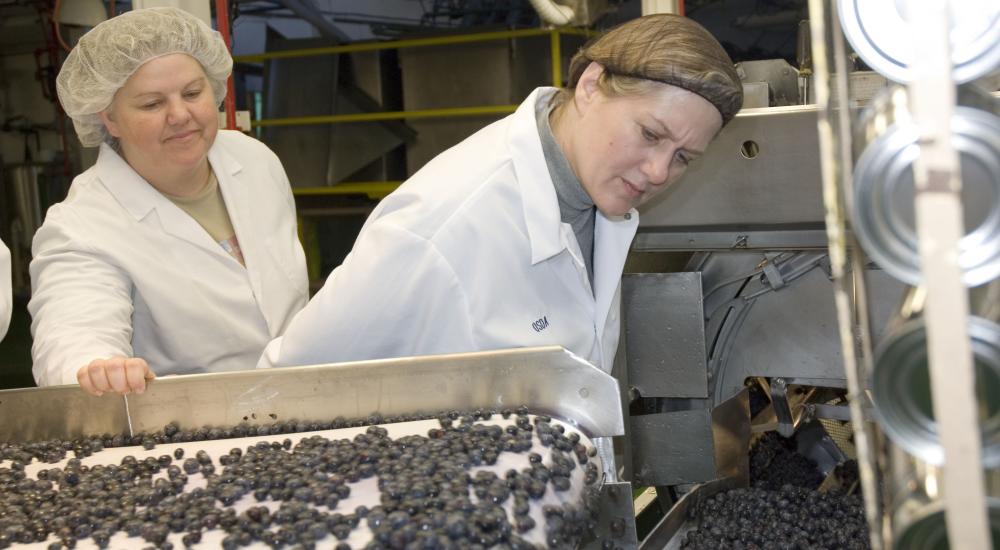 Transatlantic NGO alliance proposes new rules for food safety and trade