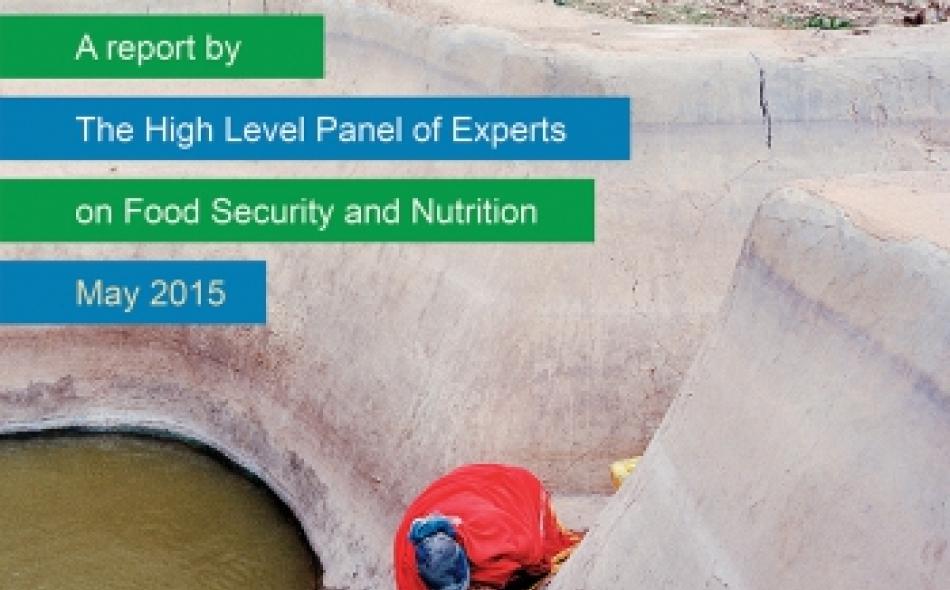 Launch of CFS Report on Water for Food Security and Nutrition —Why it Matters