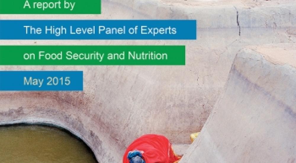 Launch of CFS Report on Water for Food Security and Nutrition —Why it Matters