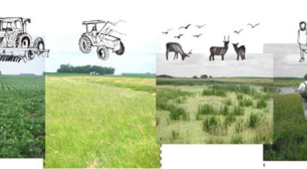 Agricultural Crossroads: Food, Fuel and the Future