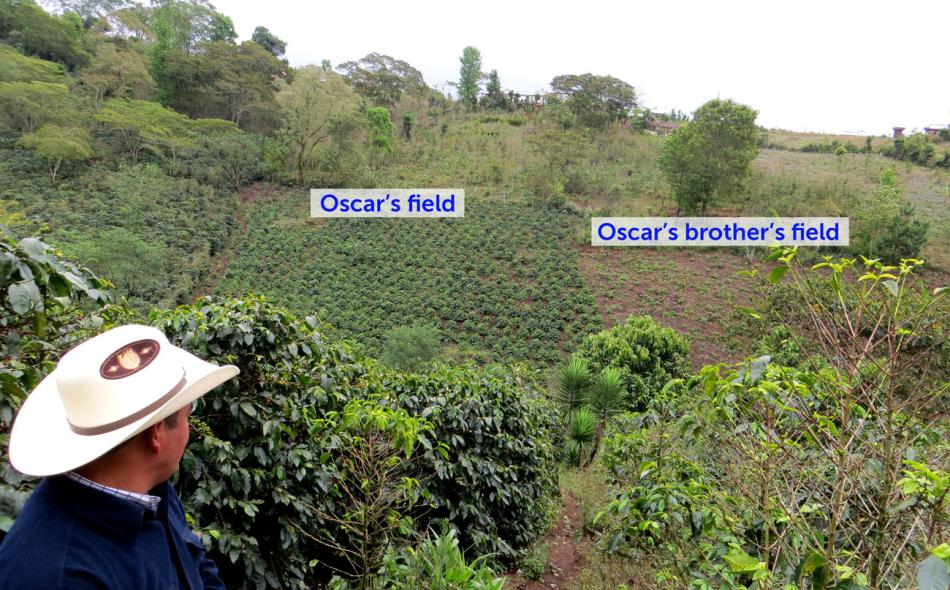 Agroecology, the expertise coffee needs