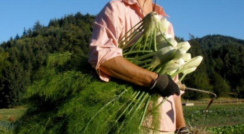 URGENT: Act today to ensure Senate's Farm Bill supports healthy food for all