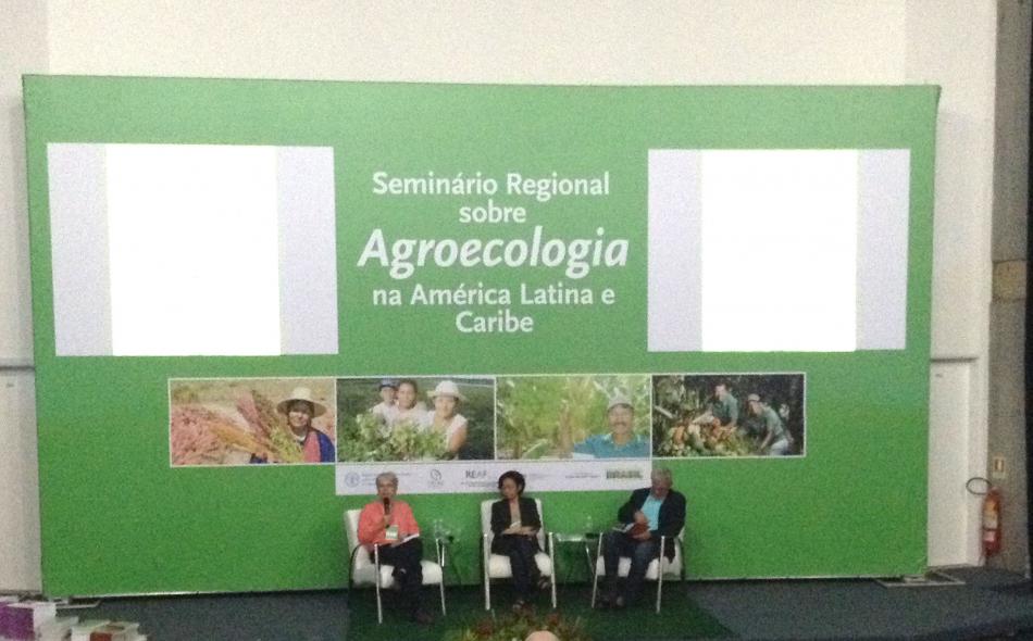 Day two at the Latin America & Caribbean Regional Agroecology Seminar: innovation and power in agroecology
