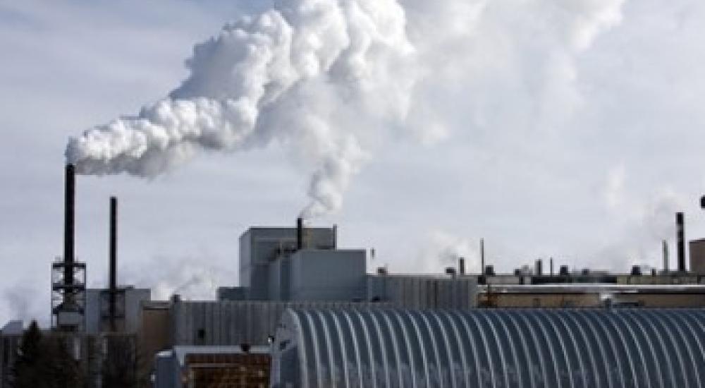 A bitter fight with labor in a sugar co-op
