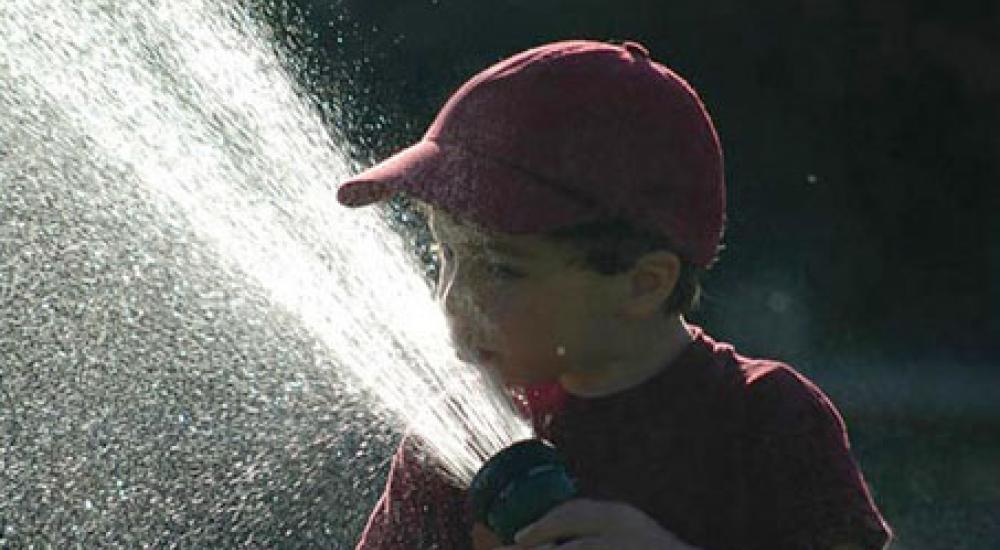 Webinar: The A to Z on Atrazine: Sex hormones and America’s most popular pesticide
