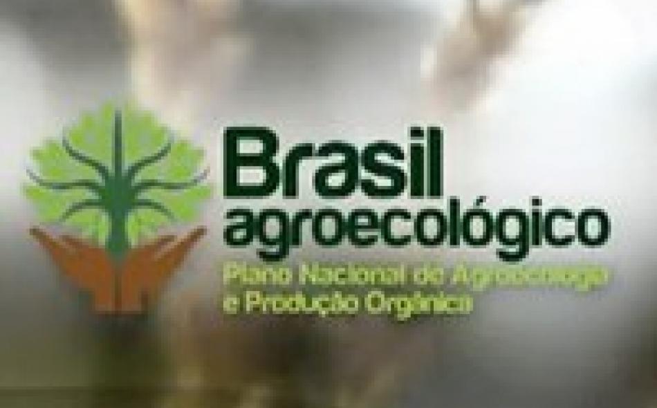 Final Day at the FAO Regional Agroecology Seminar in Brazil – The Struggle Ahead