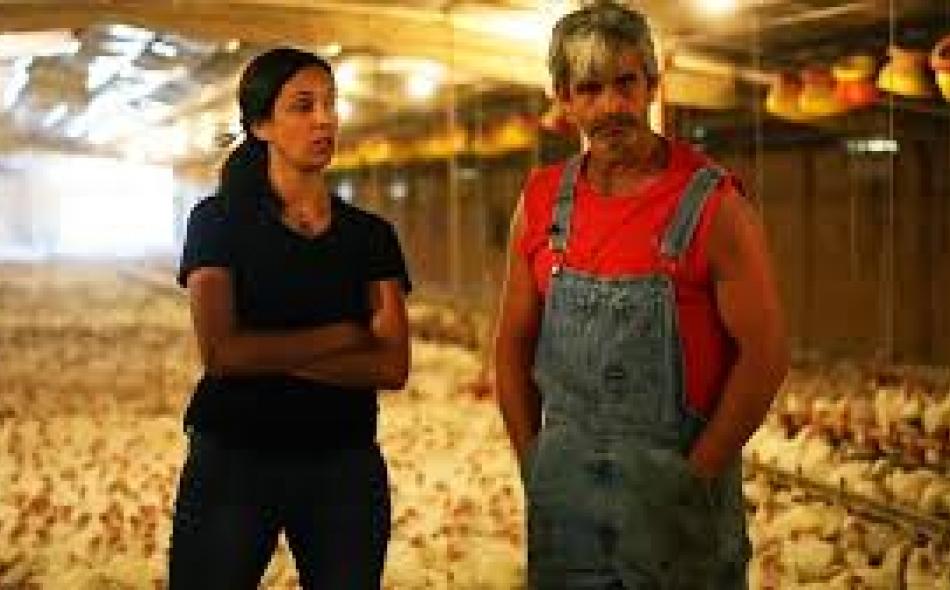 Contracted Lives: The Experience of Farmers in the Meat Chain in Brazil, India and the U.S. 