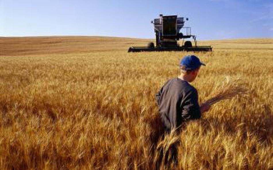 Canadian farmers don't own Wheat Board they built, grew and loved says top court