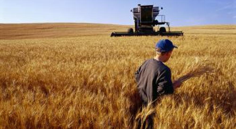 Canadian farmers don't own Wheat Board they built, grew and loved says top court