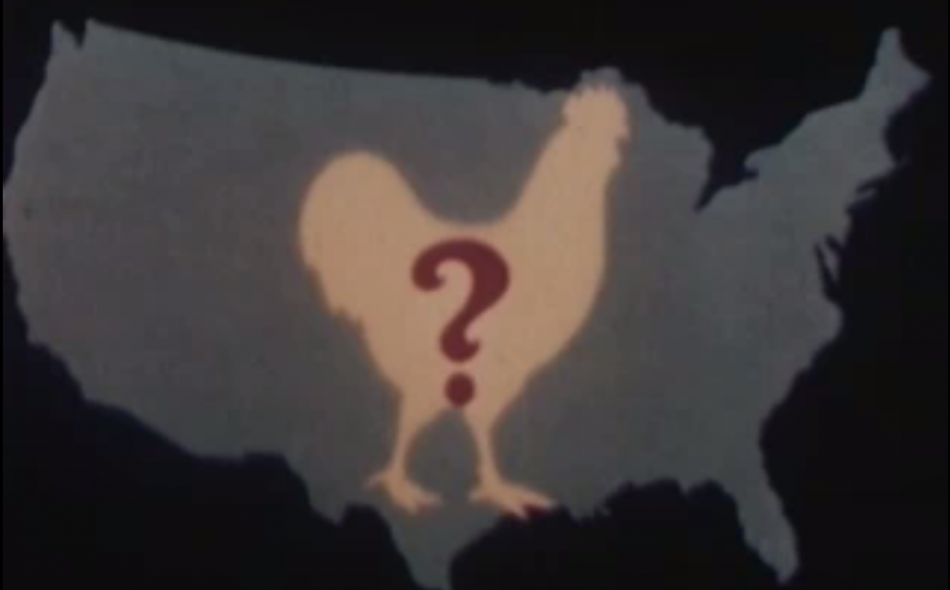  How the Chicken of Tomorrow became the Chicken of the World